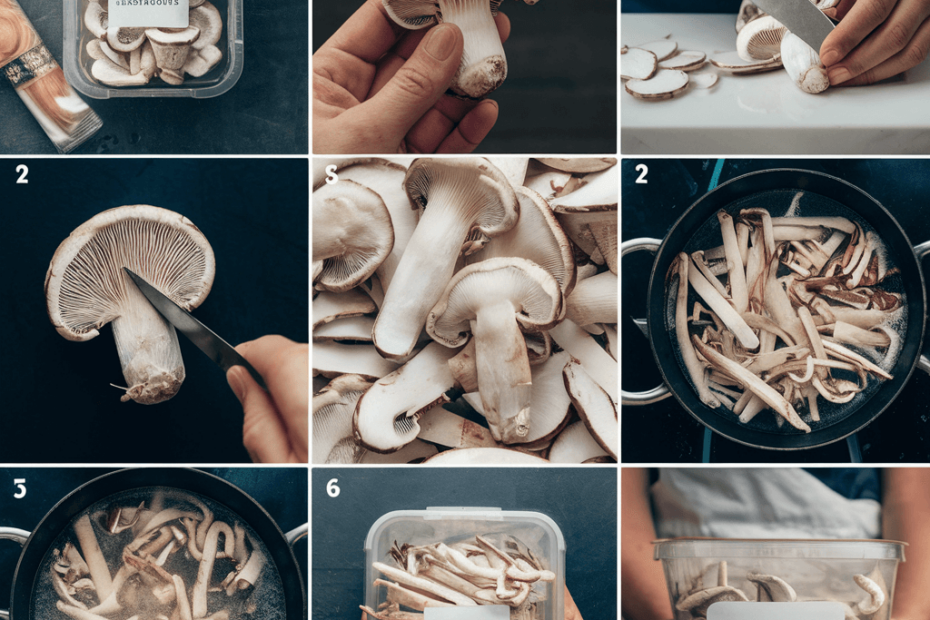 How to Freeze Oyster Mushrooms