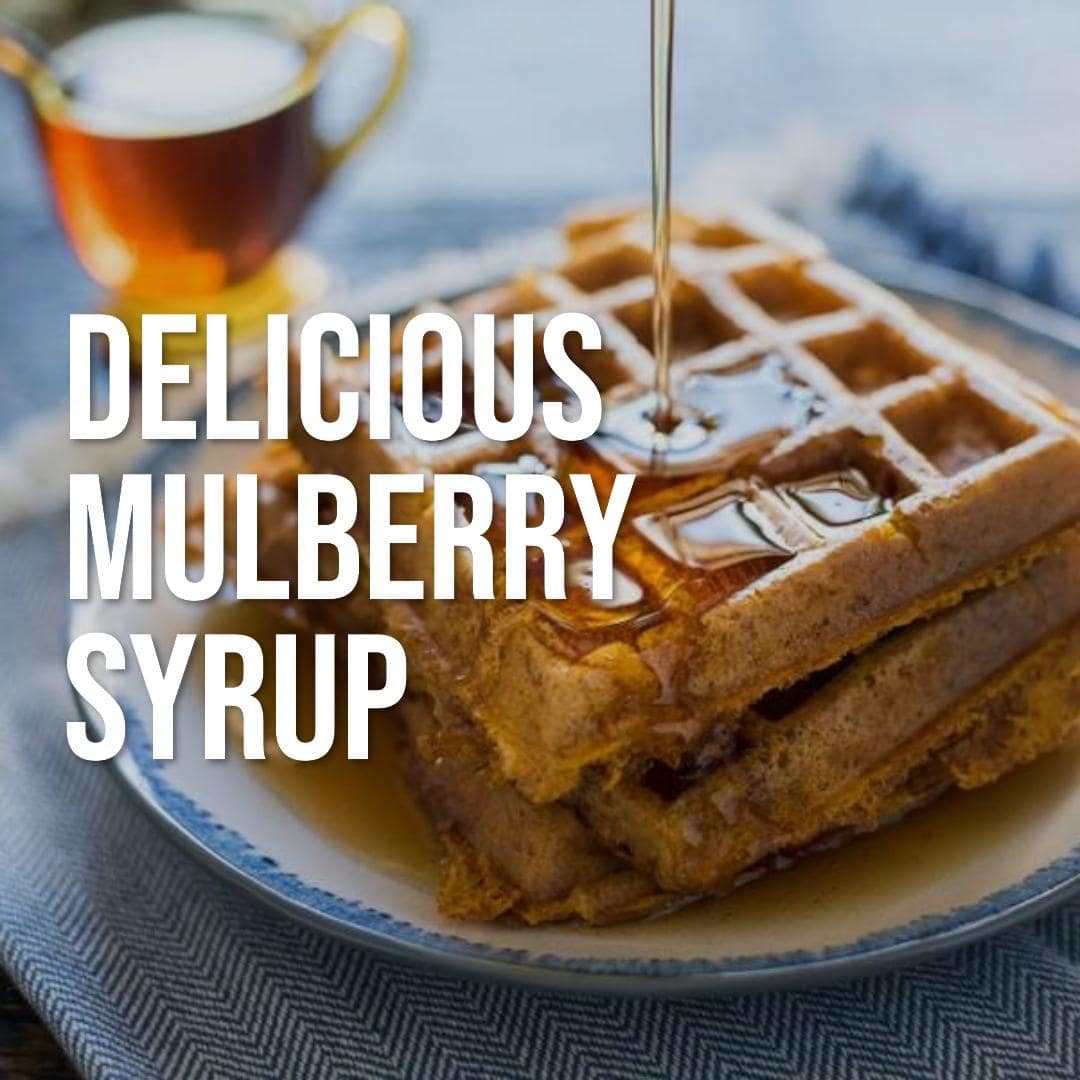 Sweet Summer Sips: Making Delicious Mulberry Simple Syrup